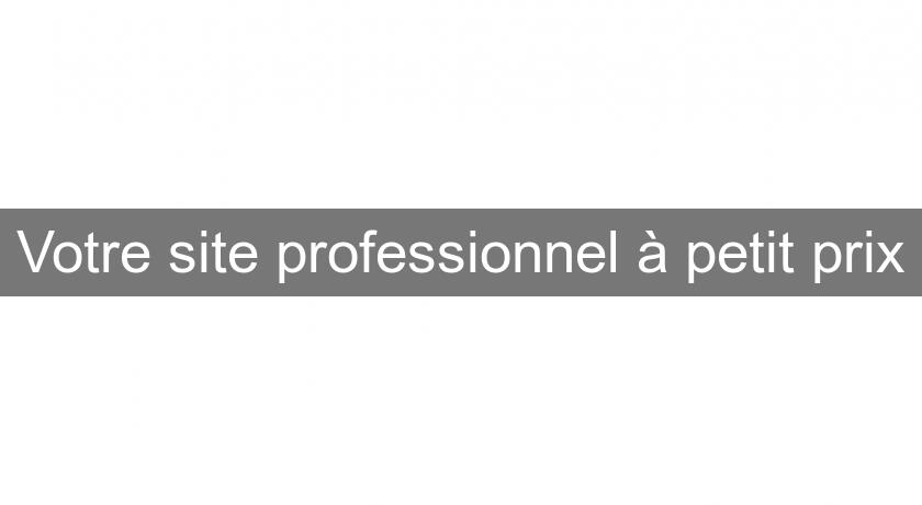 Votre site professionnel à petit prix