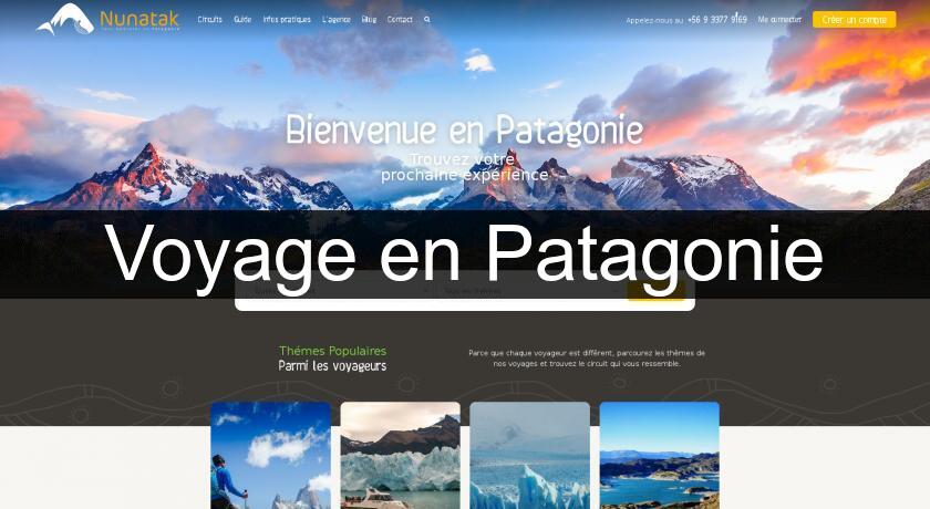 Voyage en Patagonie