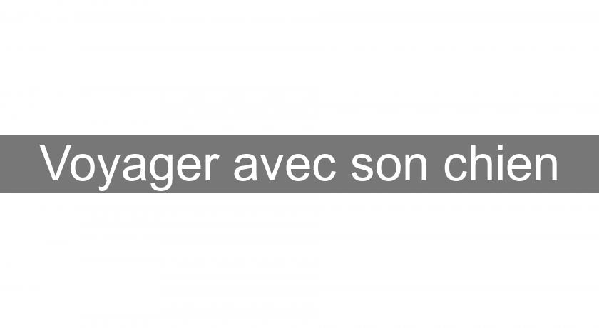 Voyager avec son chien Voyager avec son chien