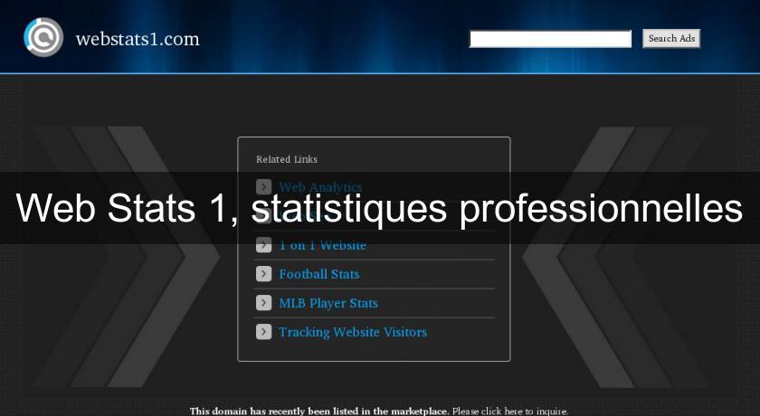 Web Stats 1, statistiques professionnelles Web Stats 1, statistiques professionnelles