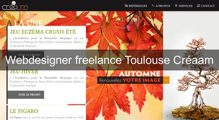 Webdesigner freelance Toulouse Créaam