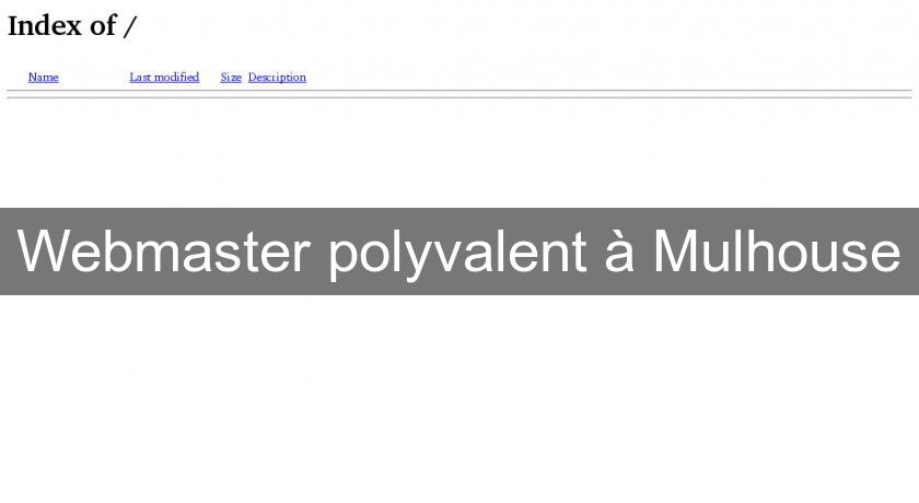 Webmaster polyvalent à Mulhouse Webmaster polyvalent à Mulhouse