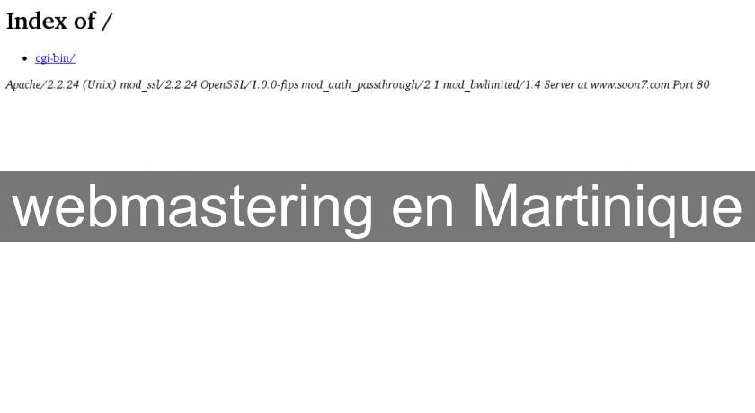 webmastering en Martinique webmastering en Martinique