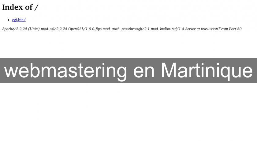 webmastering en Martinique