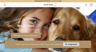 Accessoires pour chiens