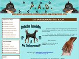 Adoption et placement de dobermann