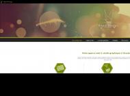 Agence web à Strasbourg en Alsace