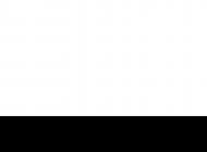 Agence web Marketing Agadir