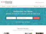 annonces de chiens perdus, trouvés et à adopter