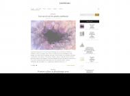 Astuces et recettes bien être et beauté au naturel