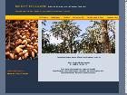 Biodattes Algérie