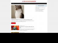 Blog voyage, mode et bonnes tables