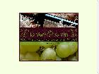 Cae de vins bio