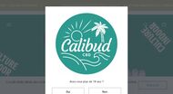 Calibud