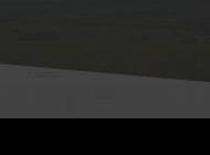 Champagnes et blanc de blanc de producteur, Venteuil (51)