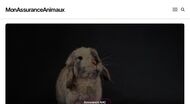 Choisir une assurance pour son animal de compagnie