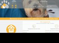 Clinique Veterinaire à Tournai