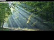 Coaching par thérapie énergétique, Paris