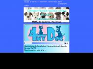 Comportementaliste et éducateur canin, Loriol sur Drôme (26)