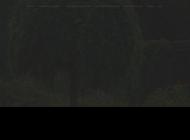 Conception, aménagement et entretien de jardin