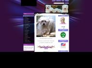 Connaître le coton de Tulear