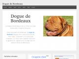 connaitre le Dogue de Bordeaux