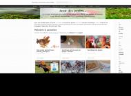 Conseil pour élever des poules