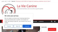 Conseils alimentation et bien être des chiens