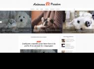 Conseils animaux domestiques 