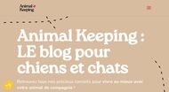 Conseils d'achat accessoires chiens et chats