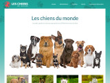 Conseils éducation et alimentation pour les chiens