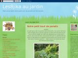 Conseils et astuces pour un jardin respectueux de la nature 