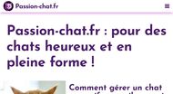 Conseils et infos sur les chats