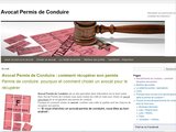 Conseils juridiques permis de conduire et annulation de permis