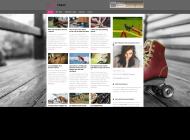 Conseils soins aux animaux