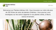 Conseils soins plantes d'intérieur