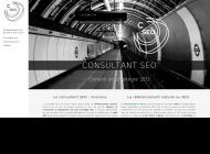 Consultant SEO Paris