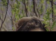 Cosmétiques anti chute de cheveux