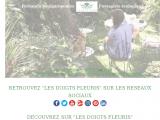 Création et conseils pour un jardin écologique 