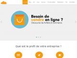 Création web et solutions e-commerce, La Réunion
