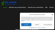 Décapage laser et aérogommage, Seysses (31)