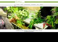 Décoration florale pour mariage et événements, Boën sur Loire (42)