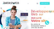 Développement site et plugins cms