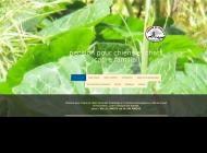 Dogsitter près de Perpignan, Le Canet en Roussillon (66)