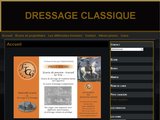 Ecurie de dressage de tradition latine en Seine-Maritime