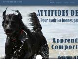 Educateur canin, Orléans (45)