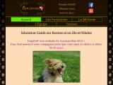 éducation canine à Rennes et en Ille-et-Vilaine 