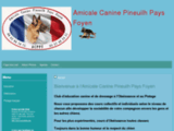 Education et dressage canin à Pineuilh, Gironde (33)