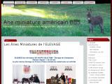 Elevage Ane miniature americain dans la Creuse (23)