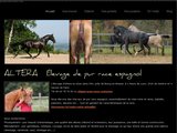 Elevage chevaux pure race espagnole en Rhône Alpes